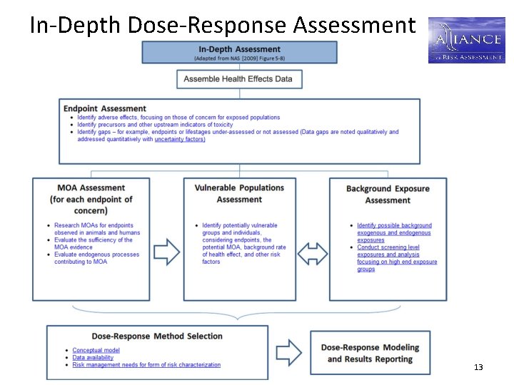 In-Depth Dose-Response Assessment 13 