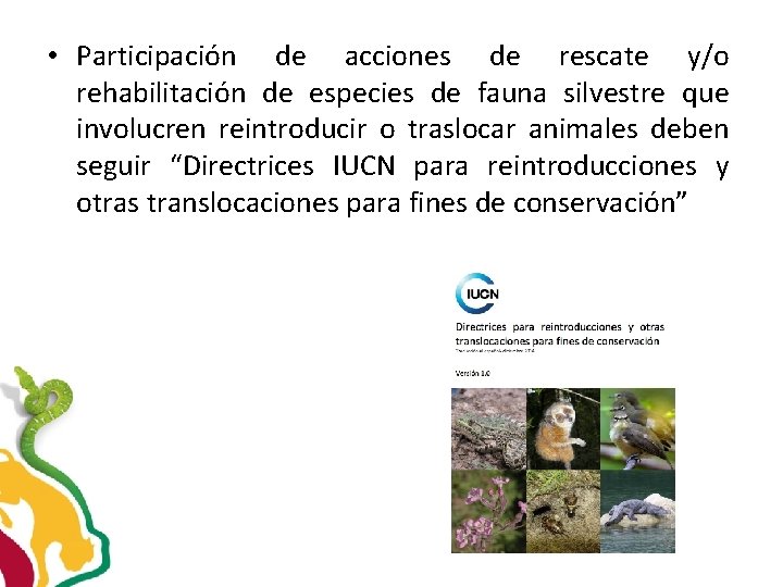  • Participación de acciones de rescate y/o rehabilitación de especies de fauna silvestre