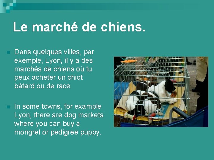Le marché de chiens. n Dans quelques villes, par exemple, Lyon, il y a
