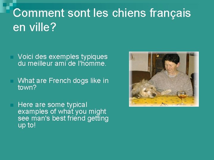 Comment sont les chiens français en ville? n Voici des exemples typiques du meilleur