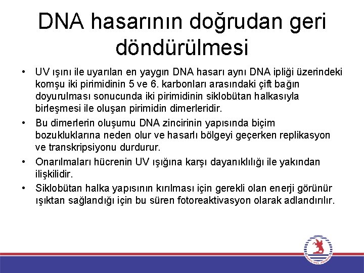 DNA hasarının doğrudan geri döndürülmesi • UV ışını ile uyarılan en yaygın DNA hasarı