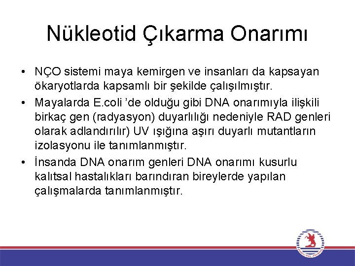 Nükleotid Çıkarma Onarımı • NÇO sistemi maya kemirgen ve insanları da kapsayan ökaryotlarda kapsamlı