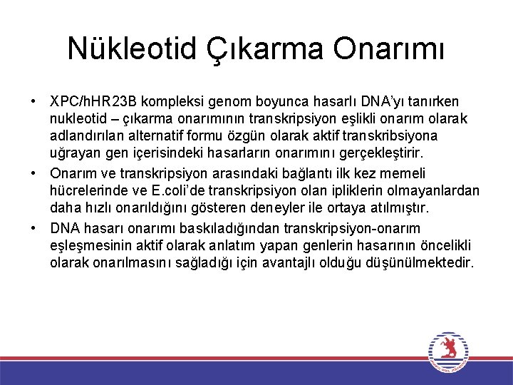 Nükleotid Çıkarma Onarımı • XPC/h. HR 23 B kompleksi genom boyunca hasarlı DNA’yı tanırken