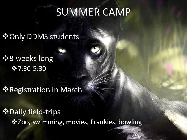 SUMMER CAMP v. Only DDMS students v 8 weeks long v 7: 30 -5: