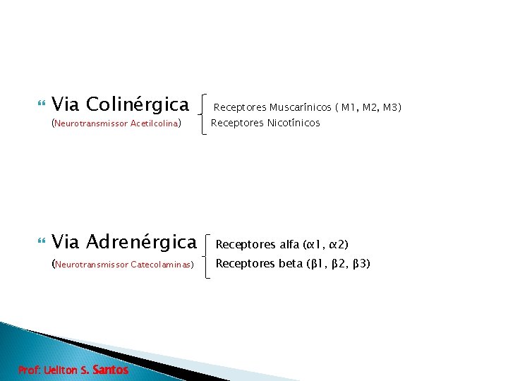  Via Colinérgica (Neurotransmissor Acetilcolina) Via Adrenérgica (Neurotransmissor Catecolaminas) Prof: Ueliton S. Santos Receptores