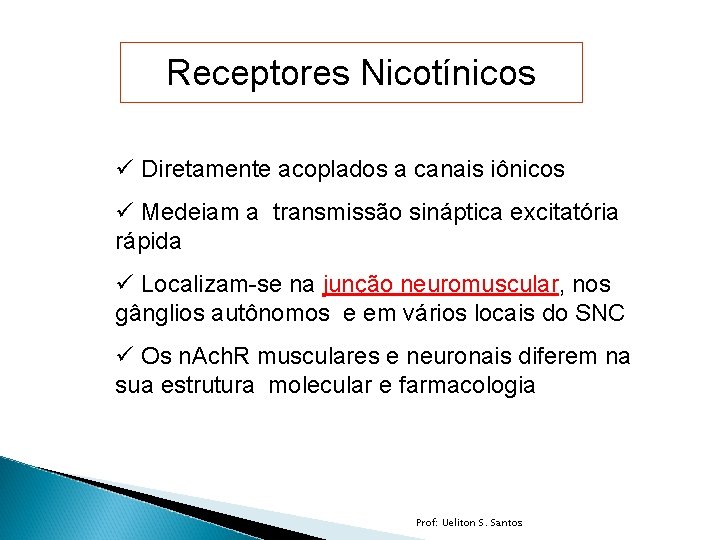 Receptores Nicotínicos ü Diretamente acoplados a canais iônicos ü Medeiam a transmissão sináptica excitatória