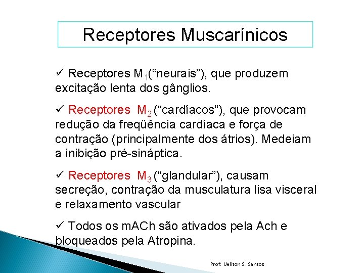 Receptores Muscarínicos ü Receptores M 1(“neurais”), que produzem excitação lenta dos gânglios. ü Receptores