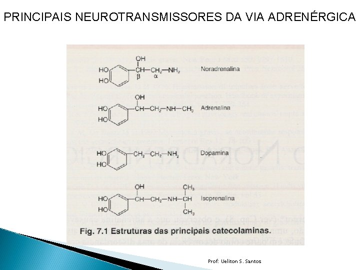 PRINCIPAIS NEUROTRANSMISSORES DA VIA ADRENÉRGICA Prof: Ueliton S. Santos 