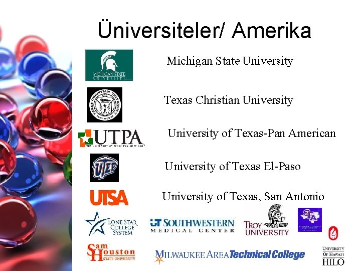 Üniversiteler/ Amerika Michigan State University Texas Christian University of Texas-Pan American University of Texas