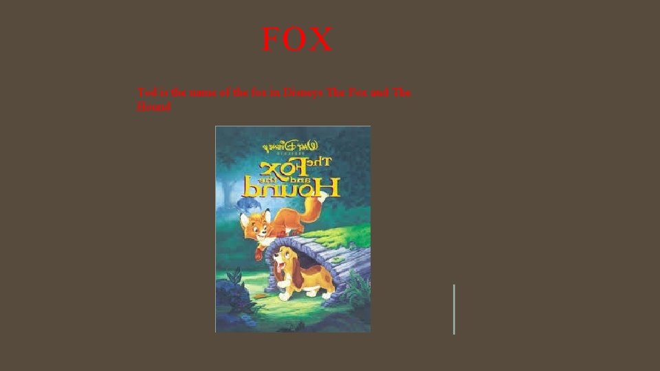 FOX Tod is the name of the fox in Disneys The Fox and The