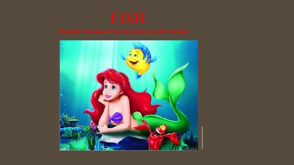 FISH Flounder is the name of the fish in disneys Little Mermaid 