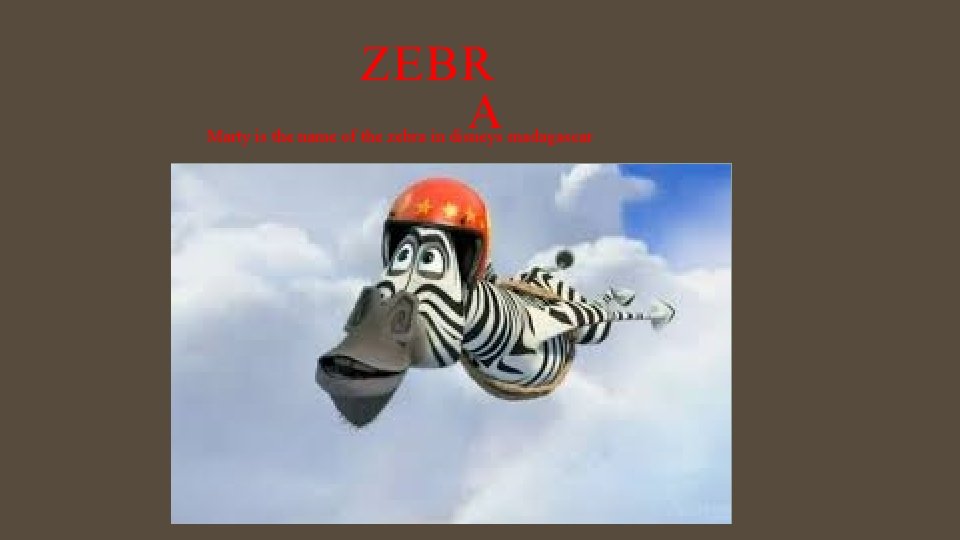 ZEBR A Marty is the name of the zebra in disneys madagascar 