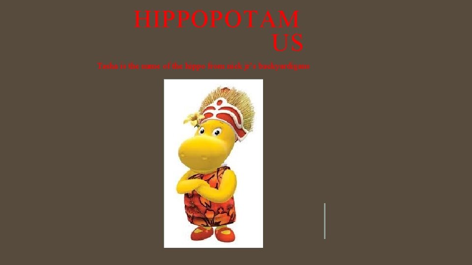 HIPPOPOTAM US Tasha is the name of the hippo from nick jr’s backyardigans 