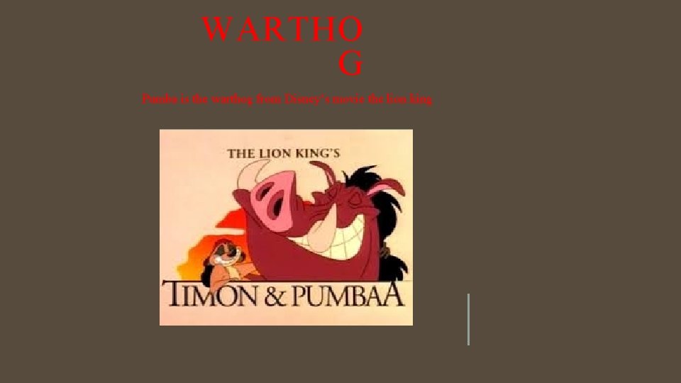 WARTHO G Pumba is the warthog from Disney’s movie the lion king 