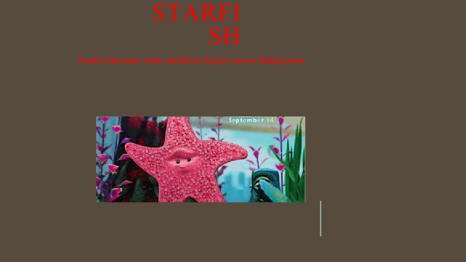 STARFI SH Peach is the name of the starfish in Disney's movie finding nemo