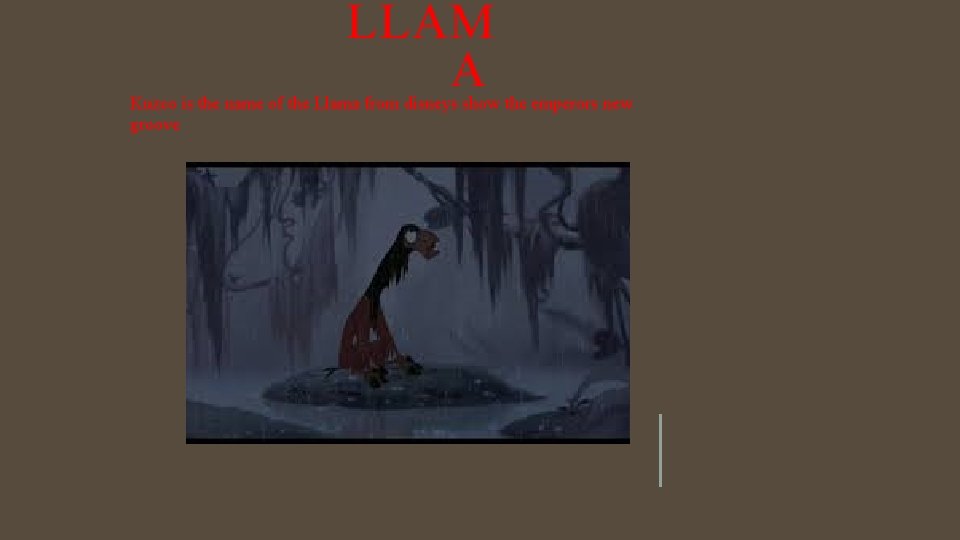 LLAM A Kuzco is the name of the Llama from disneys show the emperors