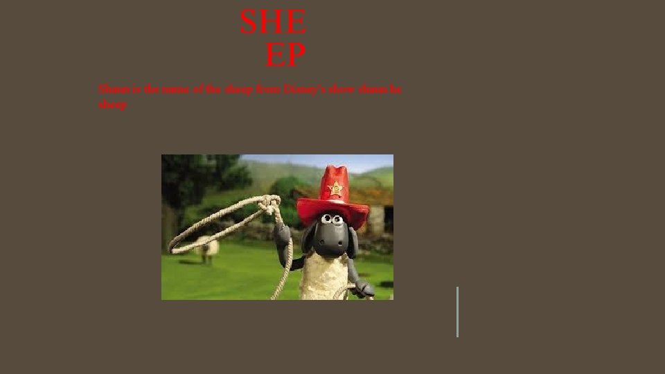 SHE EP Shaun is the name of the sheep from Disney's show shaun he