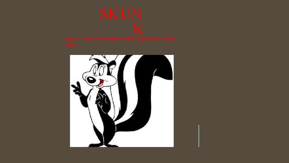 SKUN K pepe le pew is the name of the skunk from looney tunes