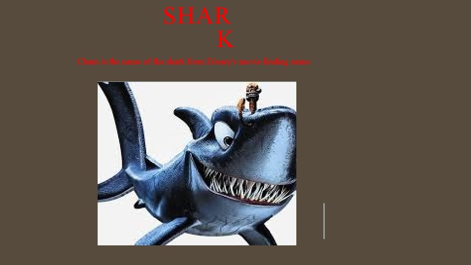 SHAR K Chum is the name of the shark from Disney's movie finding nemo