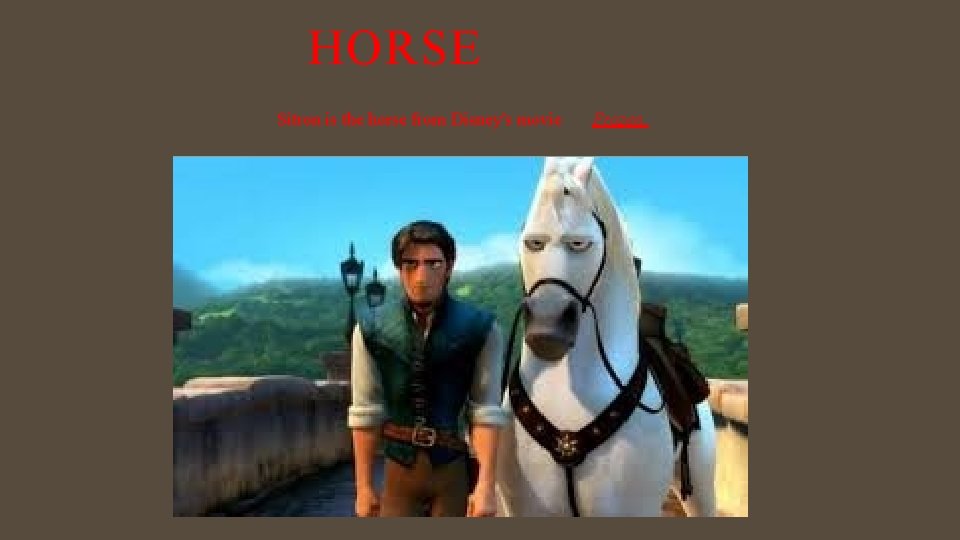 HORSE Sitron is the horse from Disney's movie Frozen 