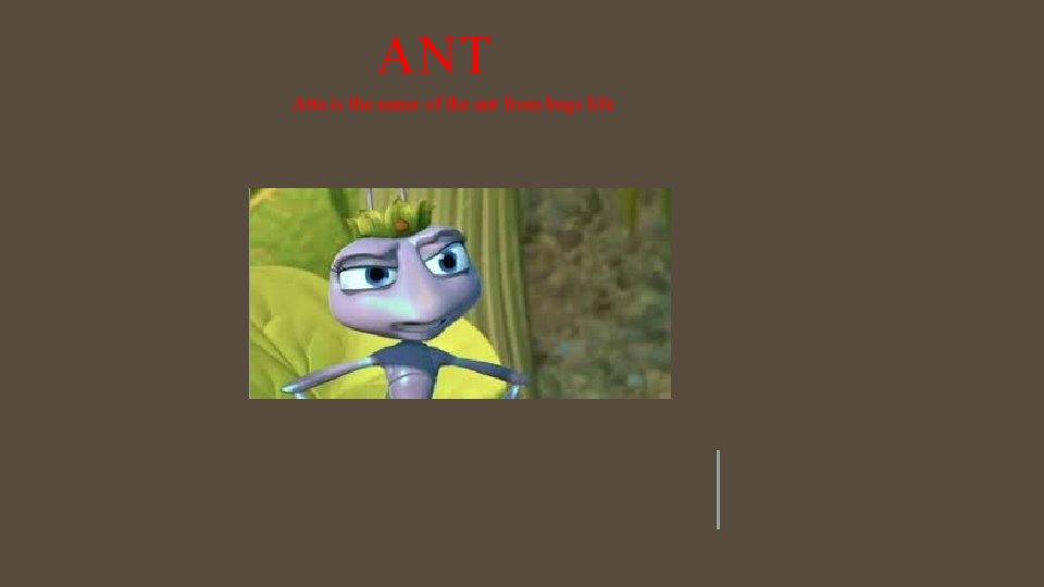 ANT Atta is the name of the ant from bugs life 