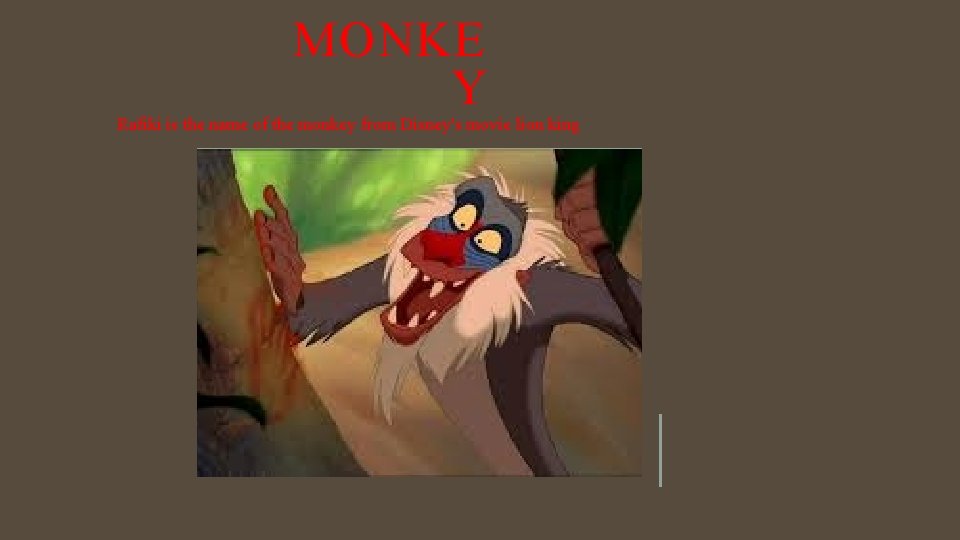 MONKE Y Rafiki is the name of the monkey from Disney's movie lion king