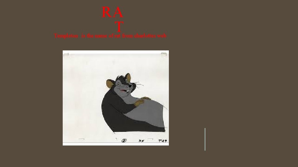 RA T Templeton is the name of rat from charlottes web 