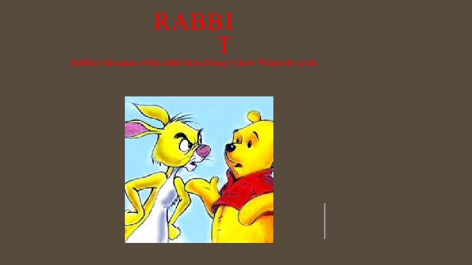 RABBI T Rabbit is the name of the rabbit from Disney's show Winnie the