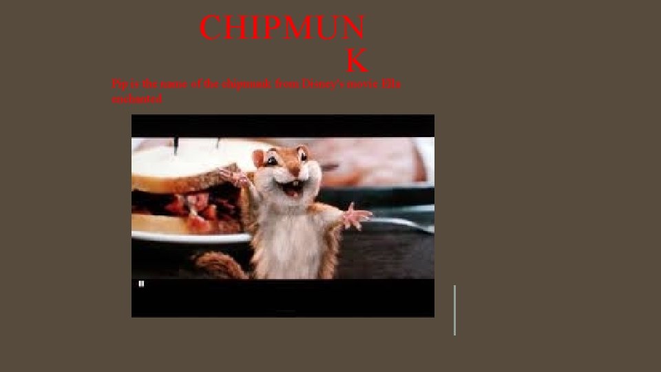 CHIPMUN K Pip is the name of the chipmunk from Disney's movie Ella enchanted