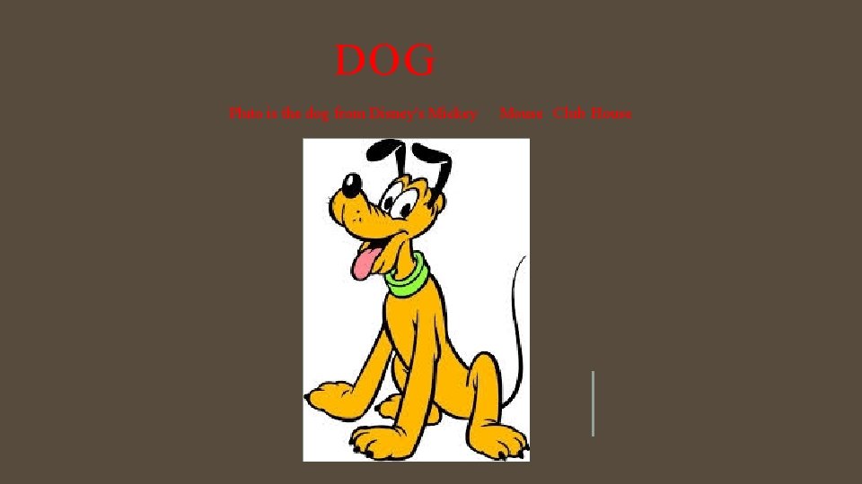 DOG Pluto is the dog from Disney's Mickey Mouse Club House 
