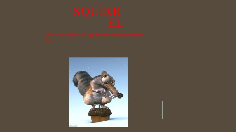 SQUIRR EL Scrat is the name of the squirrel from disneys movie ice age