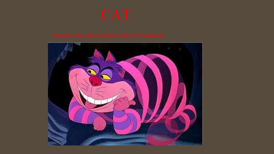 CAT Chessure is the cat from disneys Alice In Wonderland 