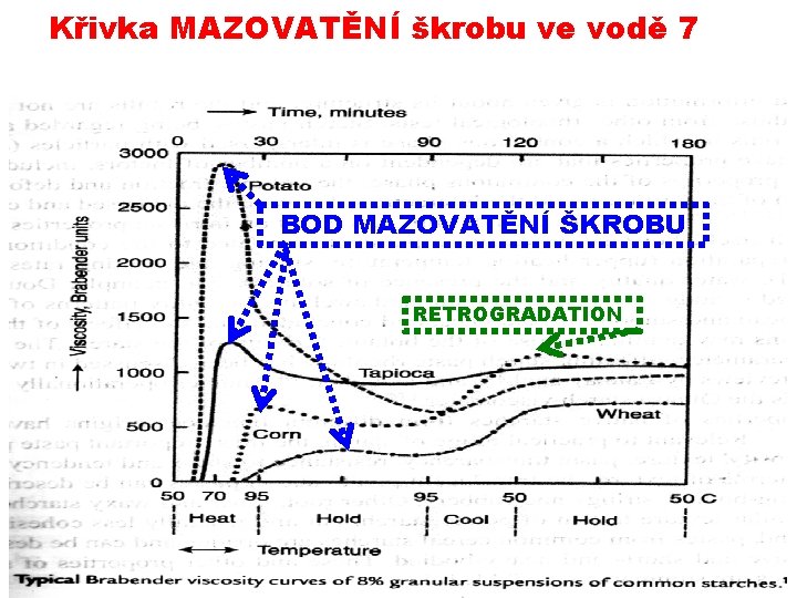 Křivka MAZOVATĚNÍ škrobu ve vodě 7 BOD MAZOVATĚNÍ ŠKROBU RETROGRADATION 06112019 PŘÍRODNÍ POLYMERY polysacharidy