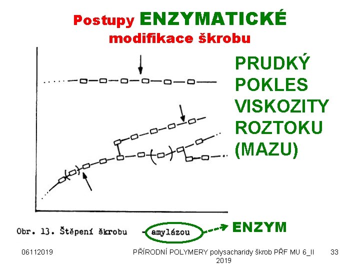 Postupy ENZYMATICKÉ modifikace škrobu PRUDKÝ POKLES VISKOZITY ROZTOKU (MAZU) ENZYM 06112019 PŘÍRODNÍ POLYMERY polysacharidy