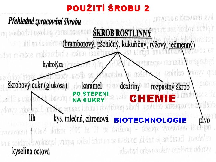 POUŽITÍ ŠROBU 2 PO ŠTĚPENÍ NA CUKRY CHEMIE BIOTECHNOLOGIE 06112019 PŘÍRODNÍ POLYMERY polysacharidy škrob