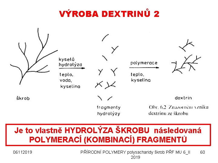 VÝROBA DEXTRINŮ 2 Je to vlastně HYDROLÝZA ŠKROBU následovaná POLYMERACÍ (KOMBINACÍ) FRAGMENTŮ 06112019 PŘÍRODNÍ