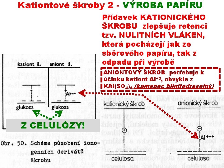 Kationtové škroby 2 - VÝROBA PAPÍRU Přídavek KATIONICKÉHO ŠKROBU zlepšuje retenci tzv. NULITNÍCH VLÁKEN,