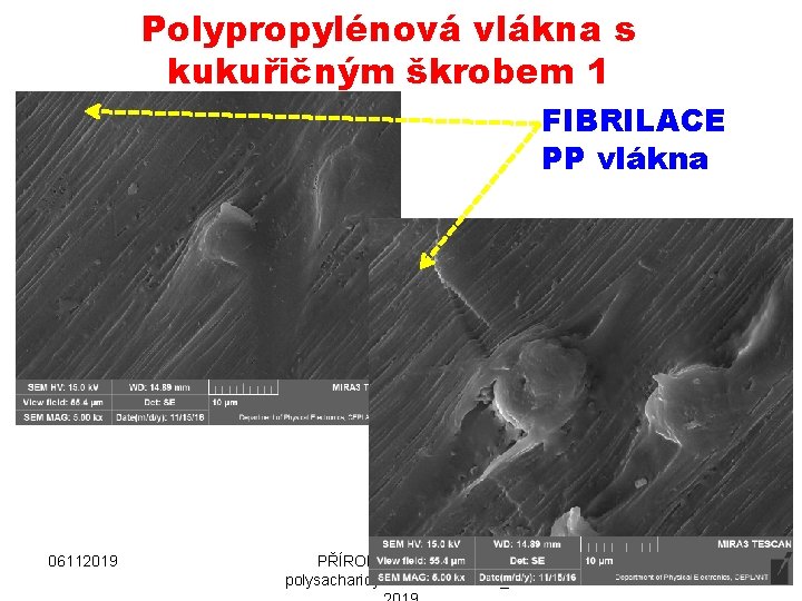 Polypropylénová vlákna s kukuřičným škrobem 1 FIBRILACE PP vlákna 06112019 PŘÍRODNÍ POLYMERY polysacharidy škrob