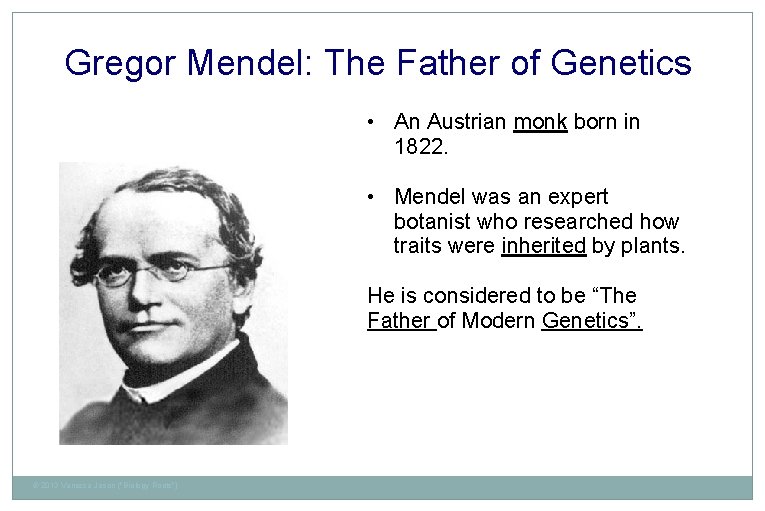 Gregor Mendel: The Father of Genetics • An Austrian monk born in 1822. •