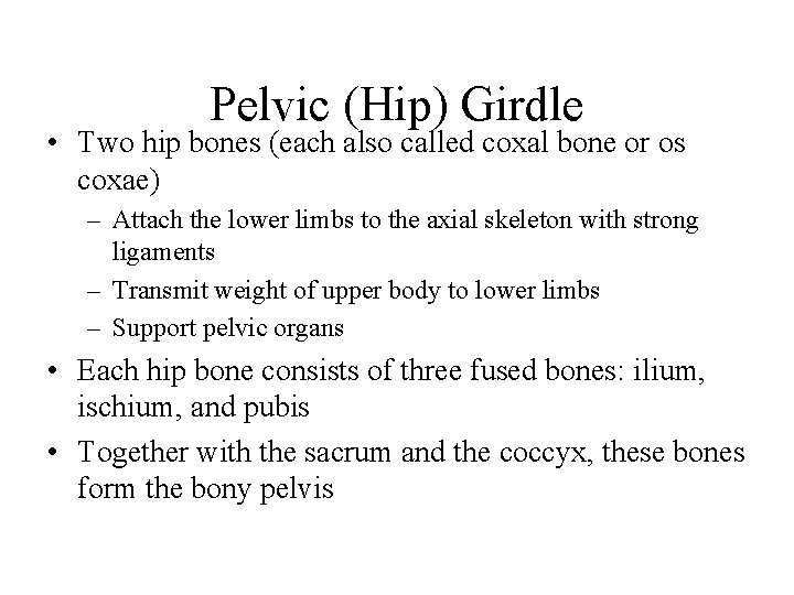 Pelvic (Hip) Girdle • Two hip bones (each also called coxal bone or os