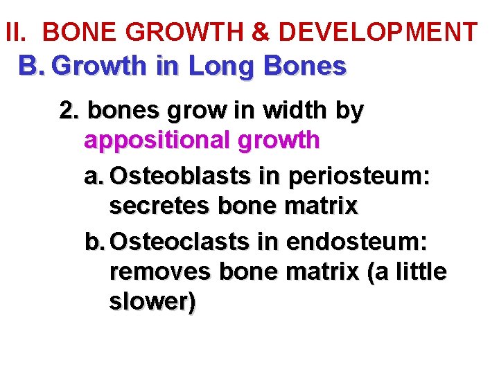 II. BONE GROWTH & DEVELOPMENT B. Growth in Long Bones 2. bones grow in