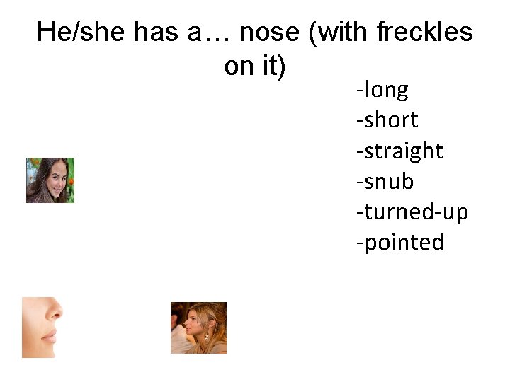 He/she has a… nose (with freckles on it) -long -short -straight -snub -turned-up -pointed