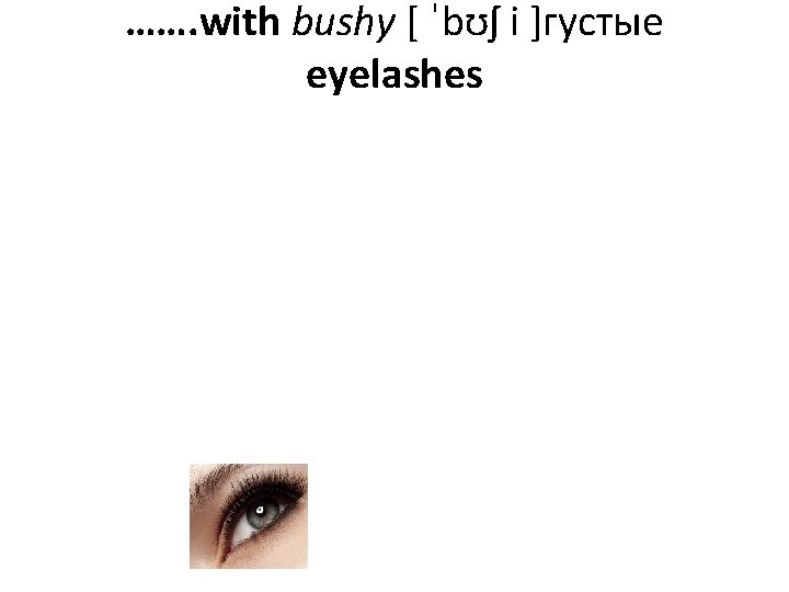 ……. with bushy [ ˈbʊʃ i ]густые eyelashes 