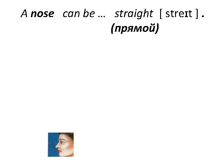 A nose can be … straight [ streɪt ]. (прямой) 