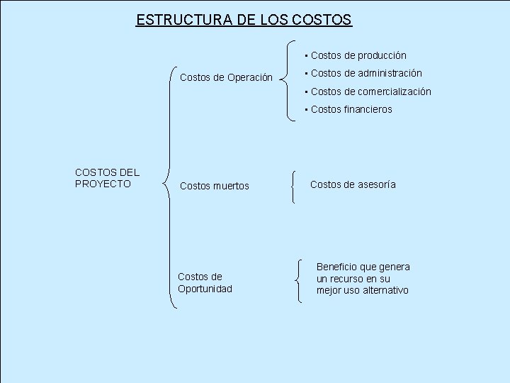 ESTRUCTURA DE LOS COSTOS • Costos de producción Costos de Operación • Costos de