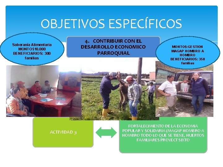 OBJETIVOS ESPECÍFICOS Soberanía Alimentaria MONTO$10. 000 BENEFICIARIOS: 300 familias ACTIVIDAD 3 4. CONTRIBUIR CON