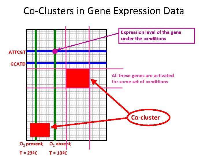 Co-Clusters in Gene Expression Data Expression level of the gene under the conditions ATTCGT