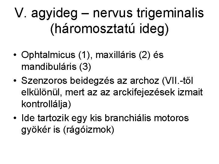 V. agyideg – nervus trigeminalis (háromosztatú ideg) • Ophtalmicus (1), maxilláris (2) és mandibuláris