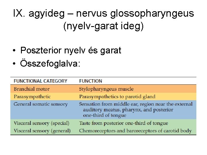 IX. agyideg – nervus glossopharyngeus (nyelv-garat ideg) • Poszterior nyelv és garat • Összefoglalva: