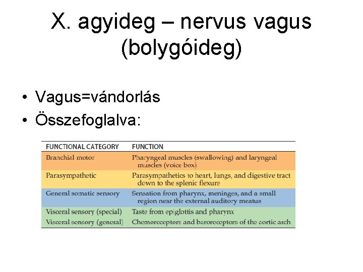 X. agyideg – nervus vagus (bolygóideg) • Vagus=vándorlás • Összefoglalva: 